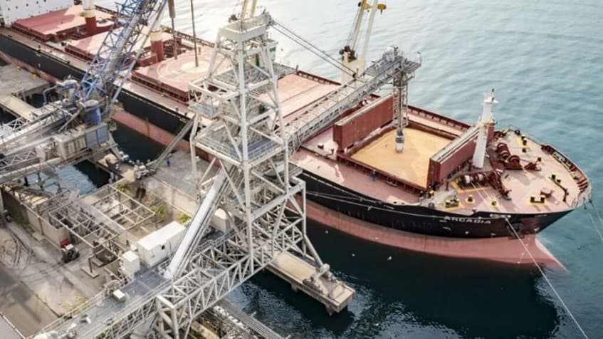 El agro explicó el 57% de las exportaciones argentinas durante el primer semestre de 2026