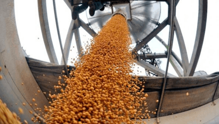 La agroindustria consolida su liderazgo y representa el 22% del Producto Bruto Interno argentino