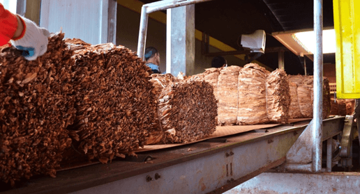La Cámara del Tabaco intimó a dos empresas y exige en 72 horas el pago de fondos adeudados