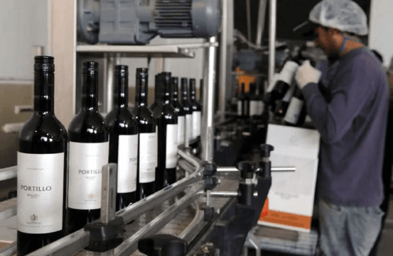 La presión impositiva sobre la vitivinicultura argentina alcanza niveles récord y supera ampliamente a Chile