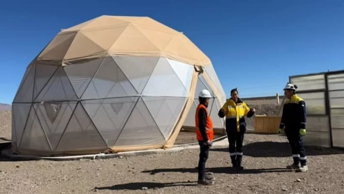 La Puna avanza en la conservación de especies nativas con un Banco de Semillas e Invernadero